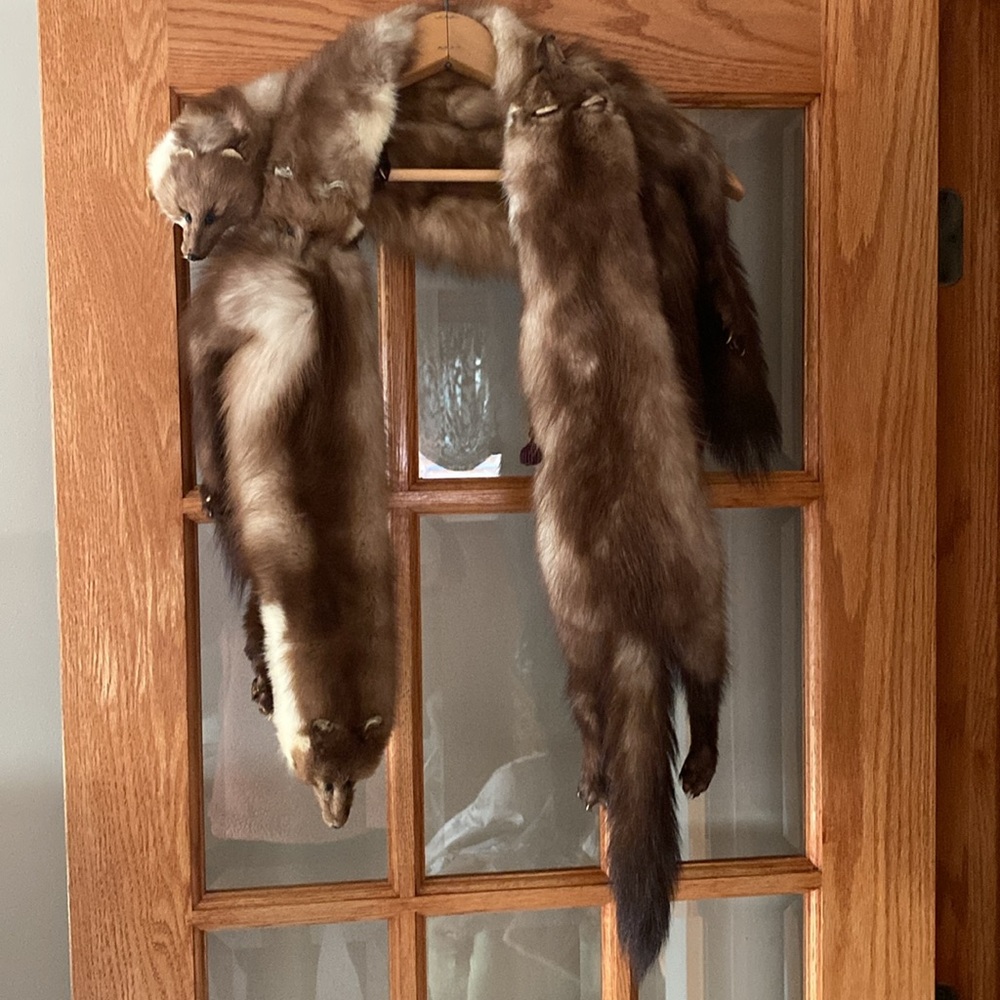 Vintage Stone Marten 4 Pelt Fur Stole Wrap 1950s 1960s Genuine Fur